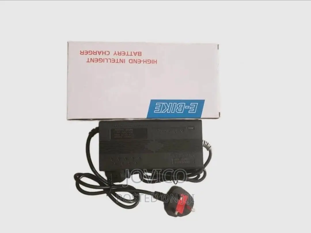Electric Bike Charger (48v 12/20ah)