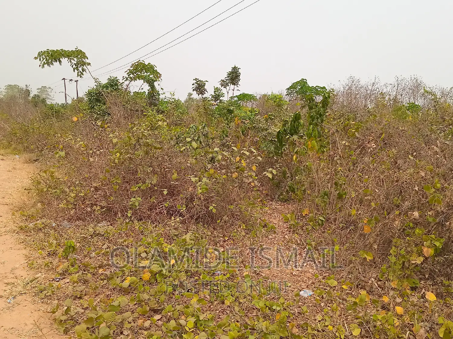 Ibadan Road Side 1 1⁄2acre(9plots), Ife