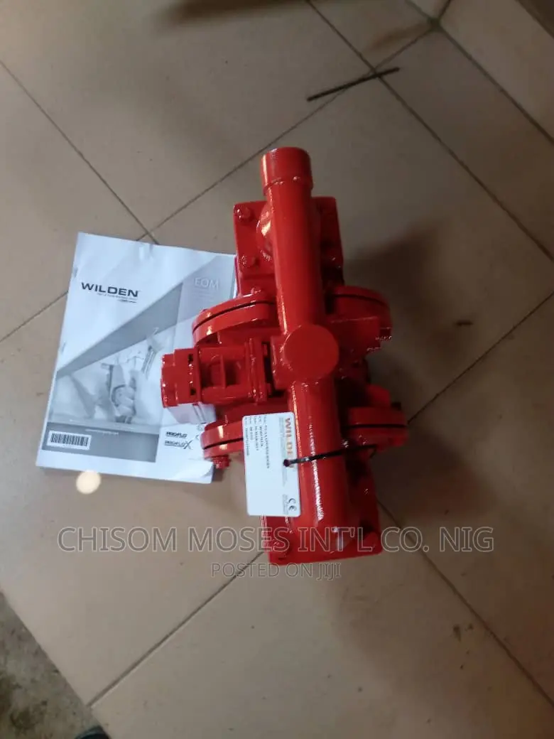 Wilden Air Pump