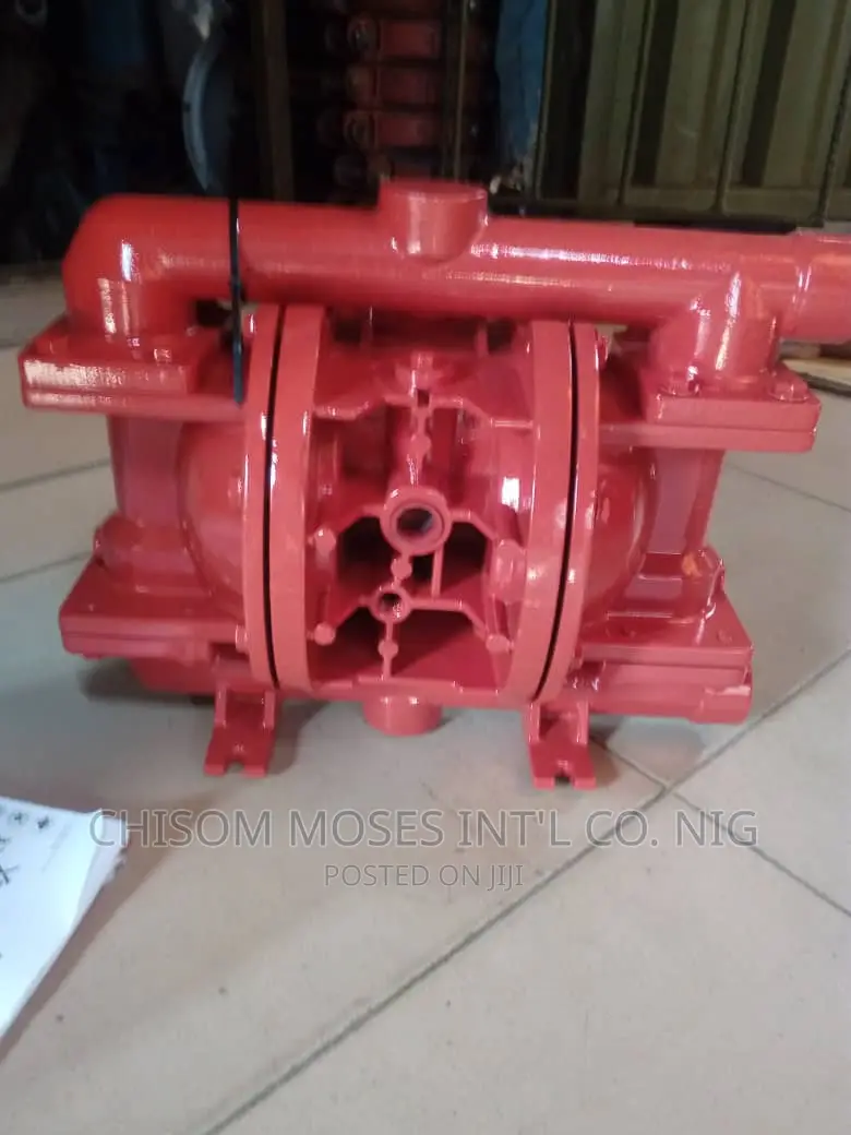 Wilden Air Pump