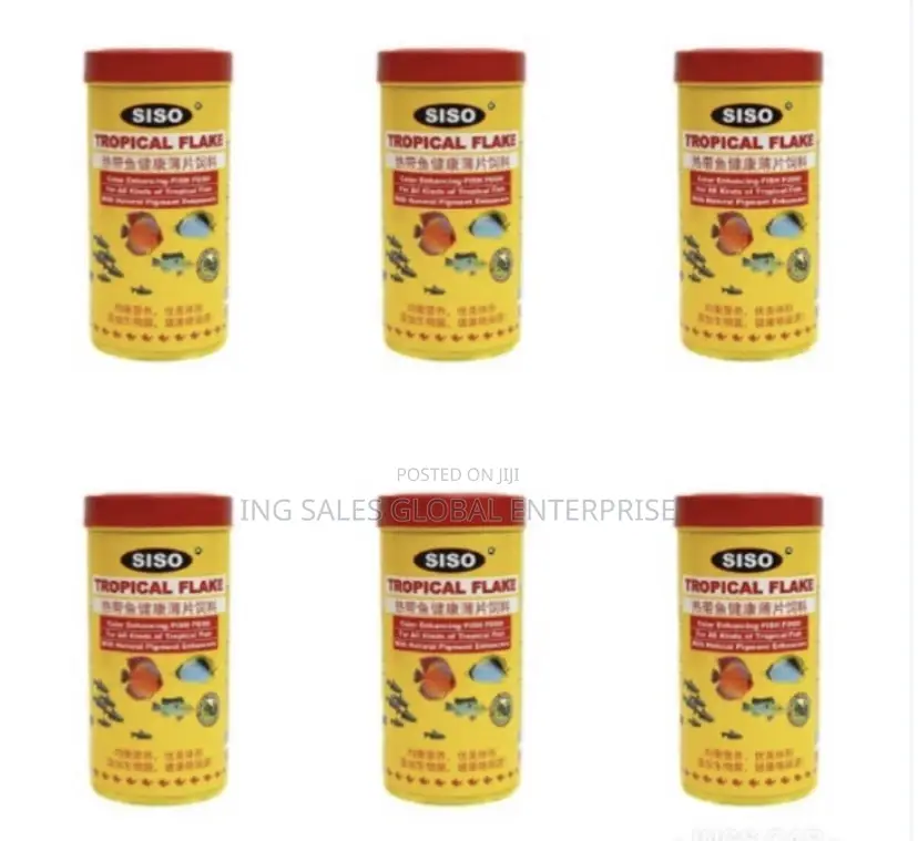 Flakes Type Fish Food for Aquarium Fishes - 50g X 6