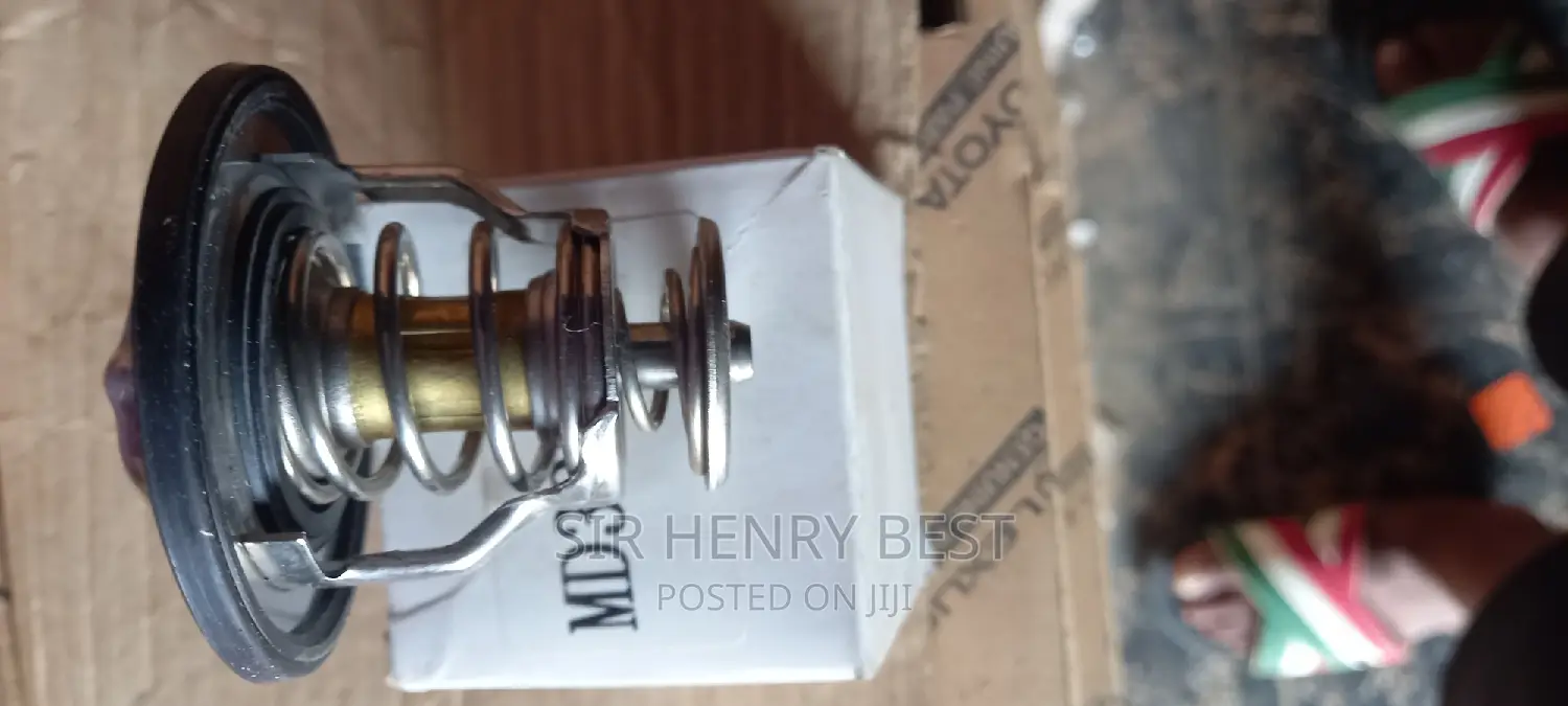 Thermostat, Mitsubishi Pajero