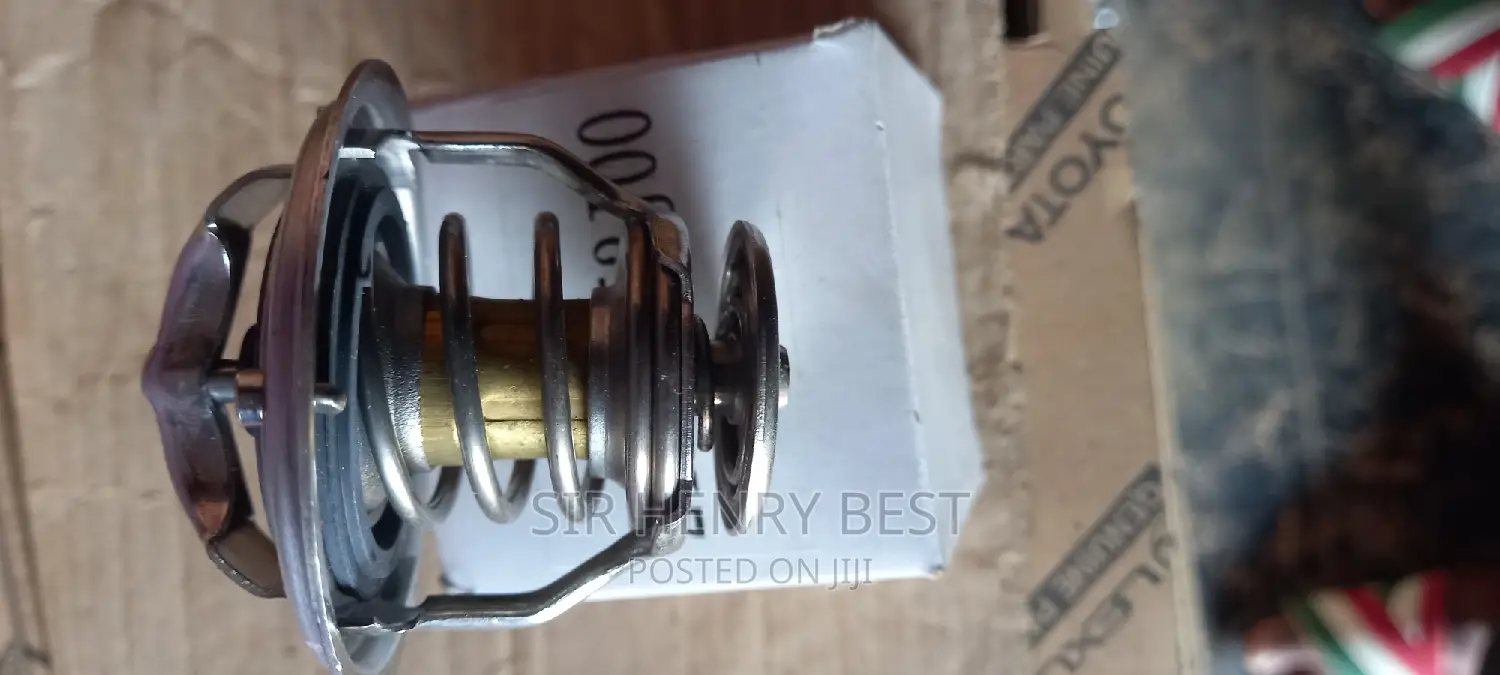 Thermostat for Nissan and Infinity