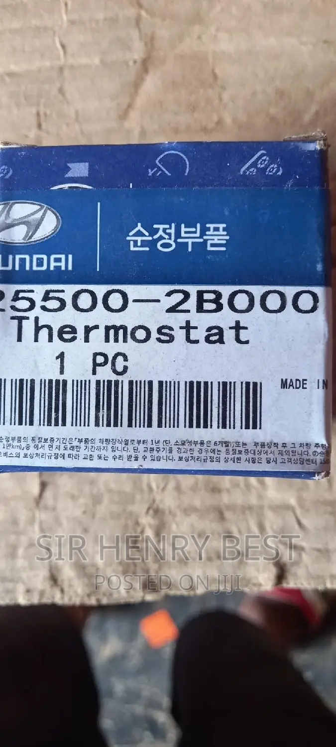 Thermostat Hyundai Kia 1.6 Engines