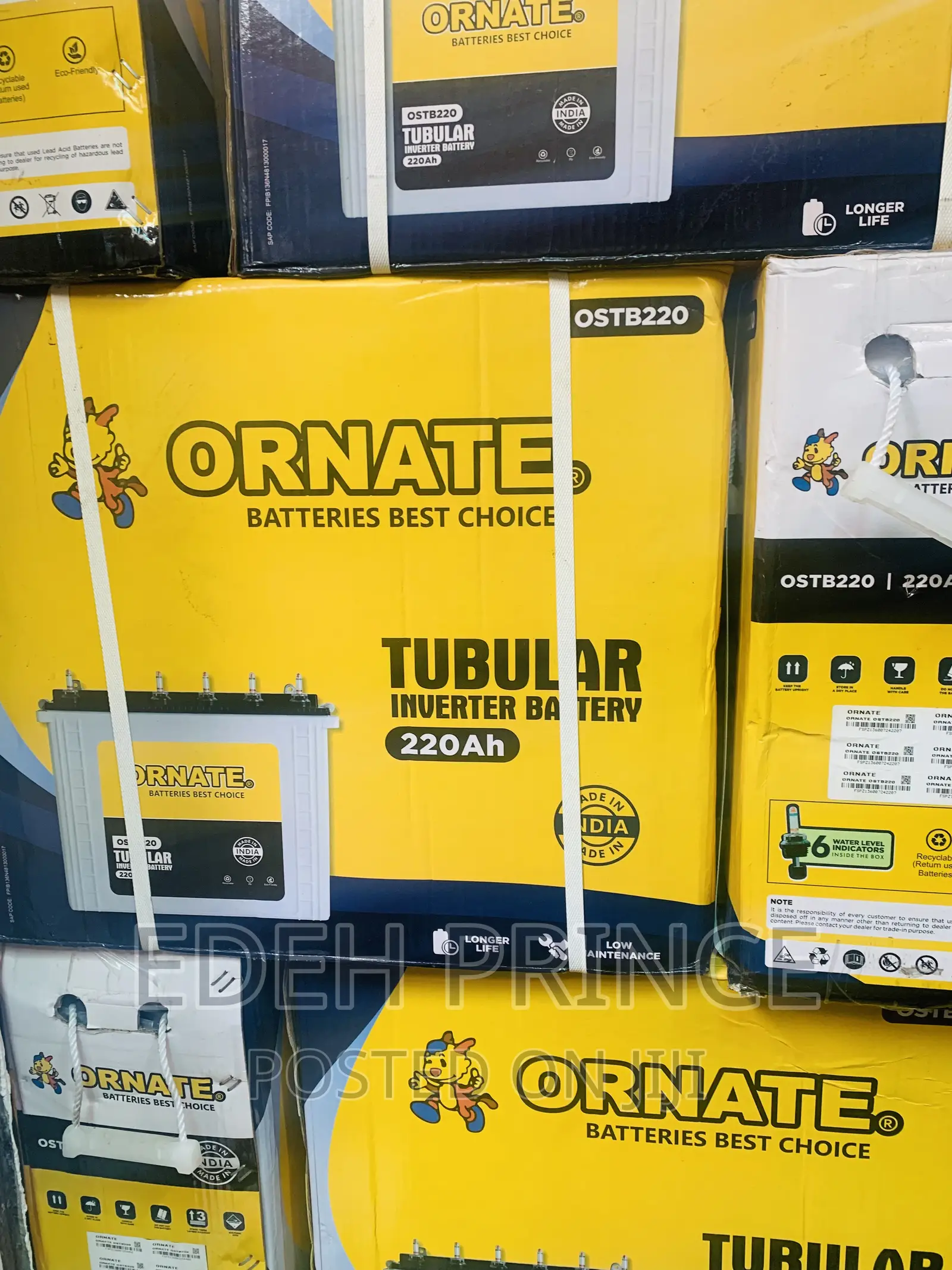 220ah Ornate Tubular Batteries