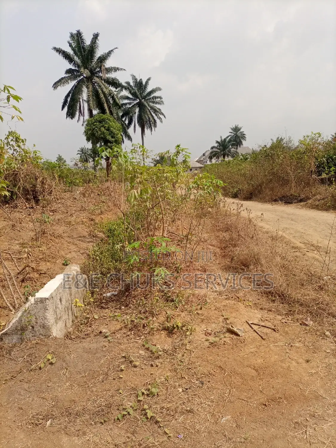 Sweet Corner Piece of 1 Plot for Sale