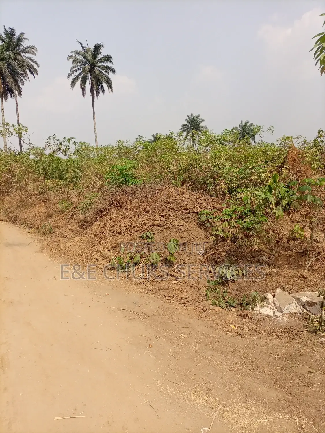 Sweet Corner Piece of 1 Plot for Sale