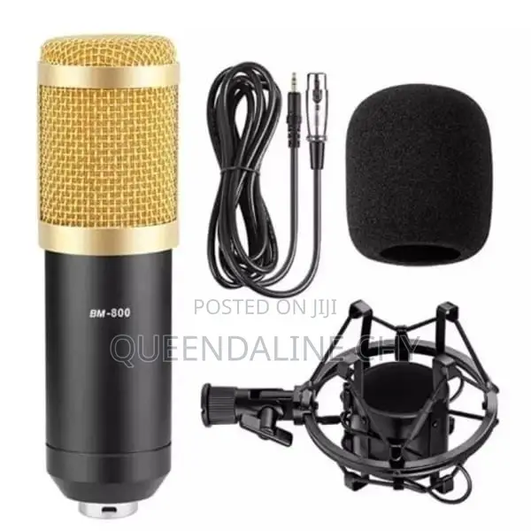 Bm-800 Studio Microphone