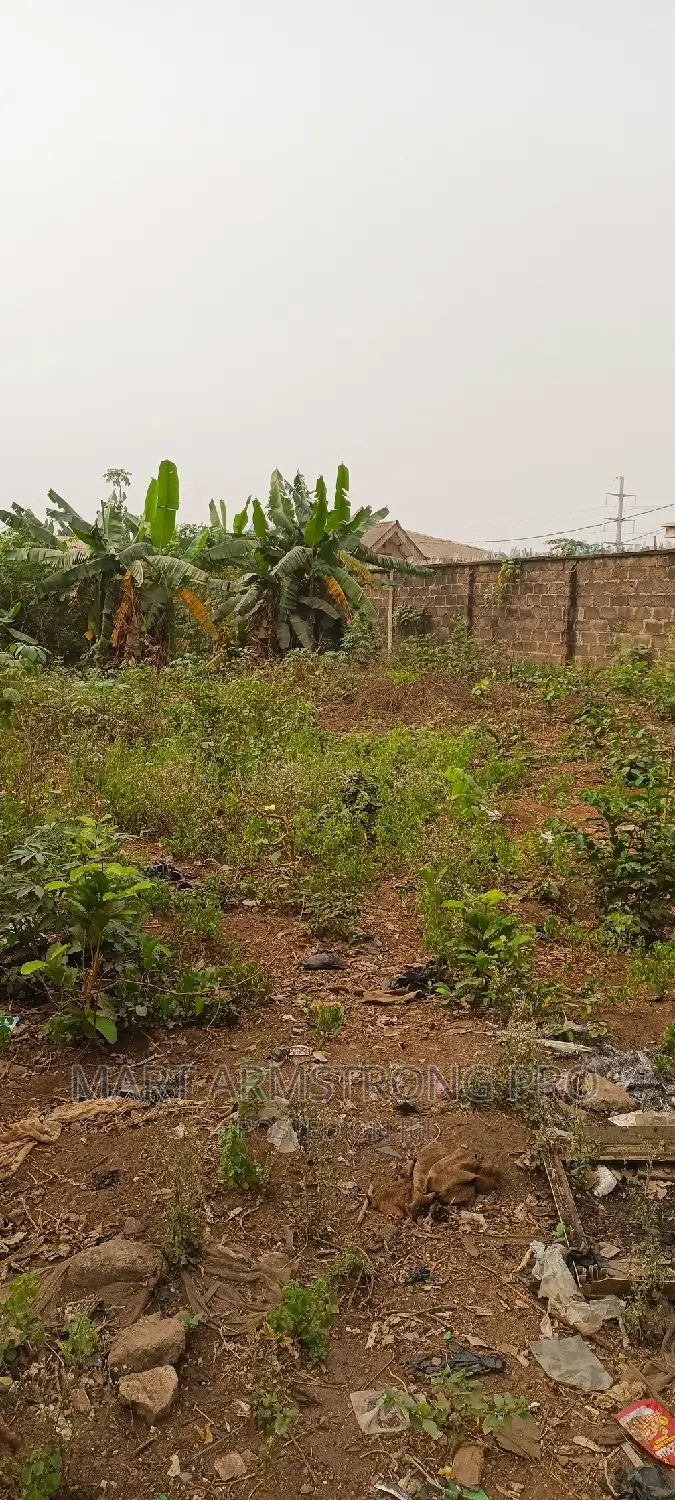Commercial Plot of Land Close to the Major Road