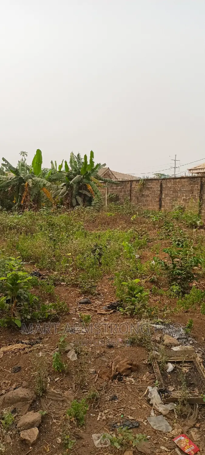 Commercial Plot of Land Close to the Major Road