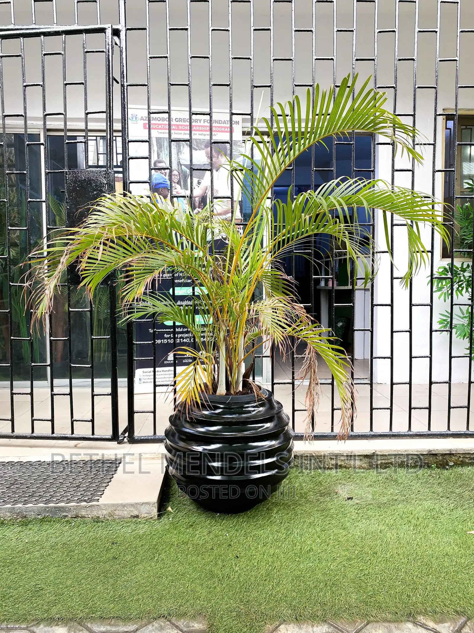 Fiberglass Flower Pot/Vase/ Planter for Outdoor Decorations