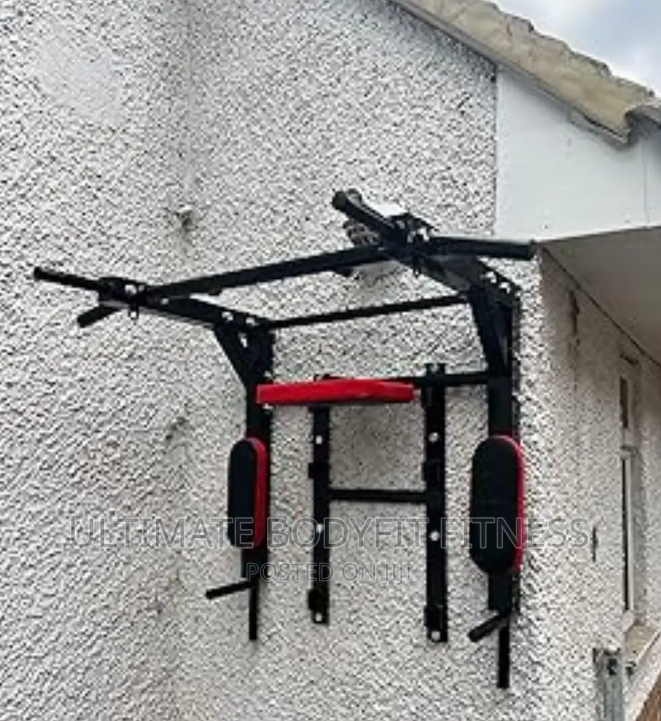 Brand New Wall Monted Pull And Push Up Bar