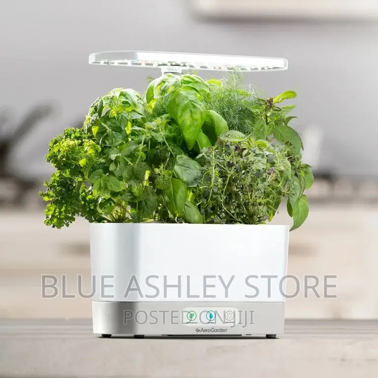 Aerogarden Harvest, White With Gourmet Herbs Seed Kit
