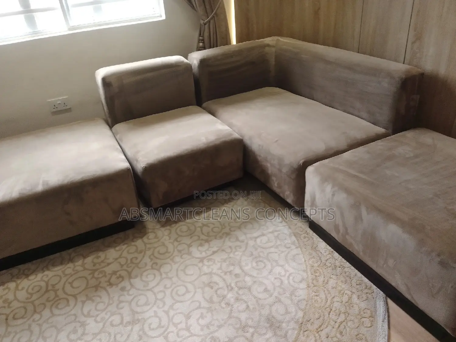 Sofa and House Cleaning Services