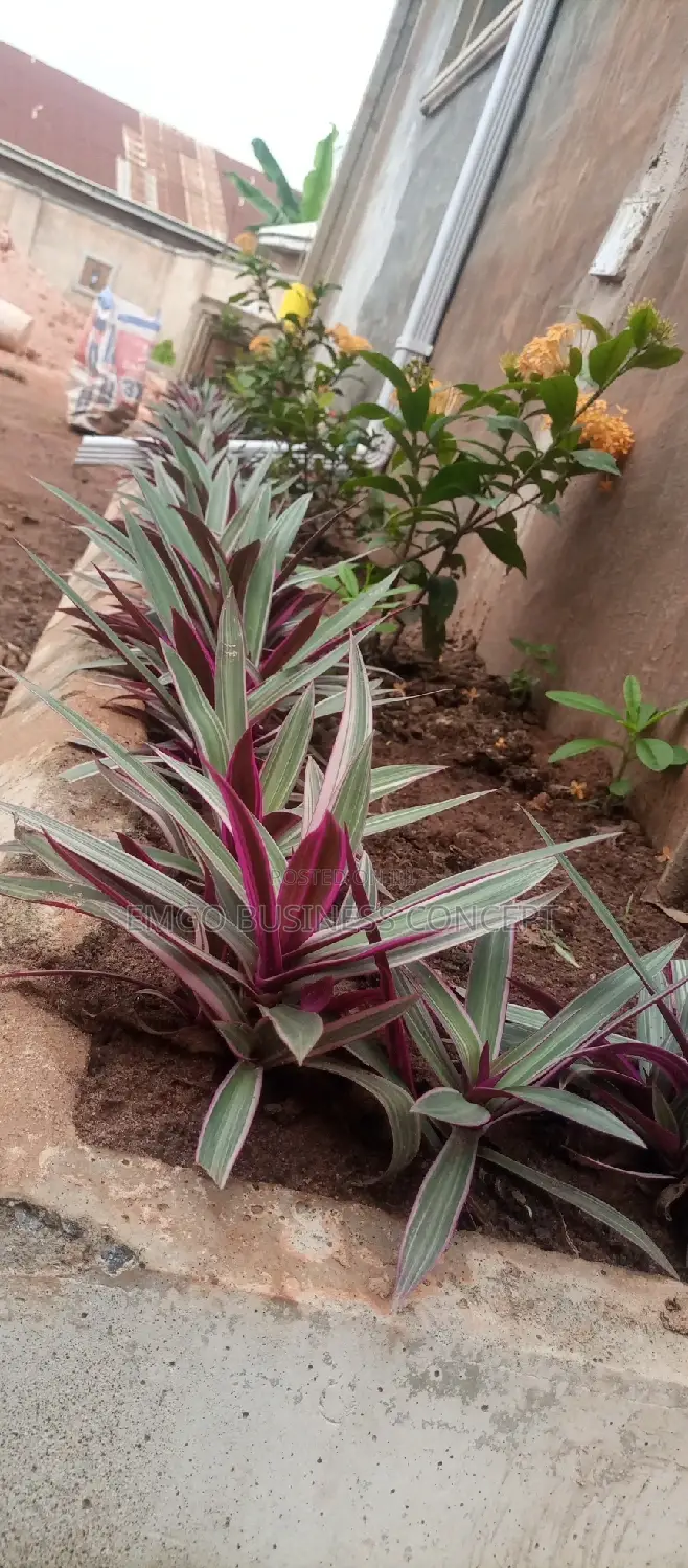 Gardening Landscaping