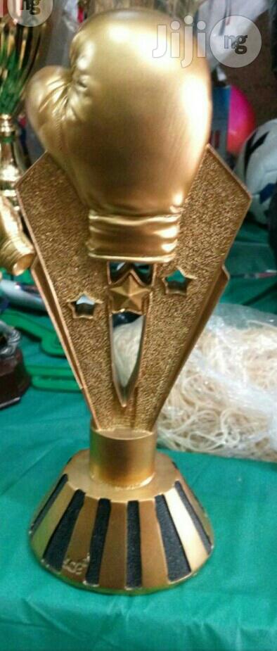 Goalkeeper Award Glove