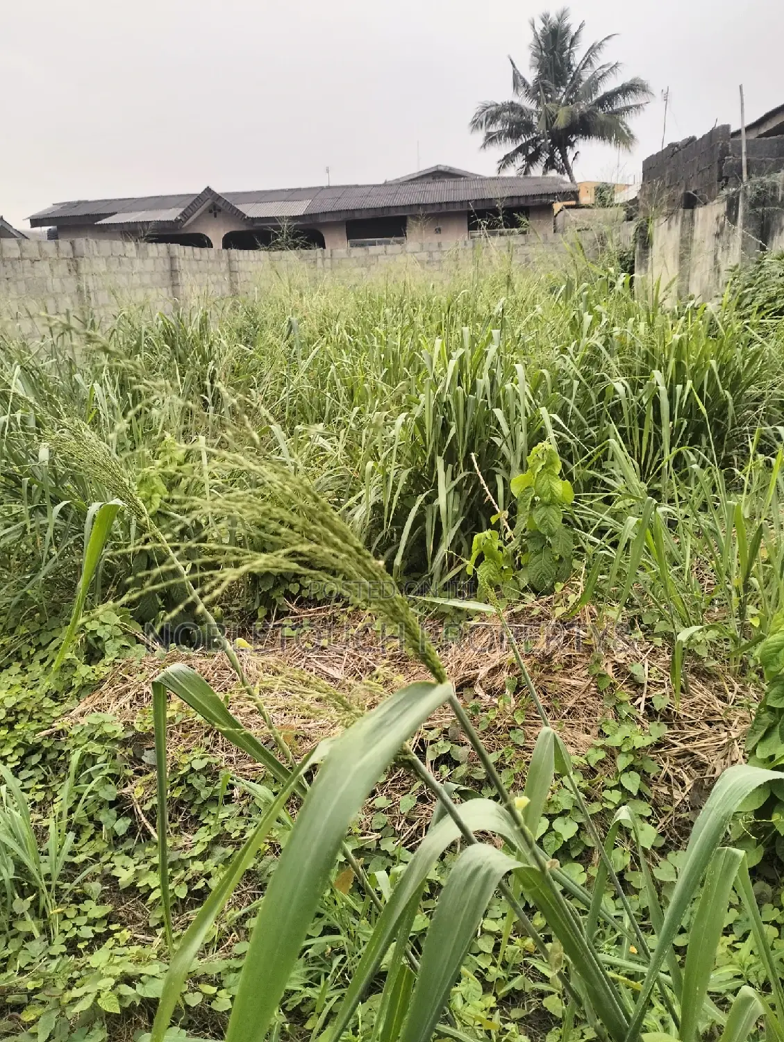 Empty Space/Land Along Oladun Road by Lasu Rd