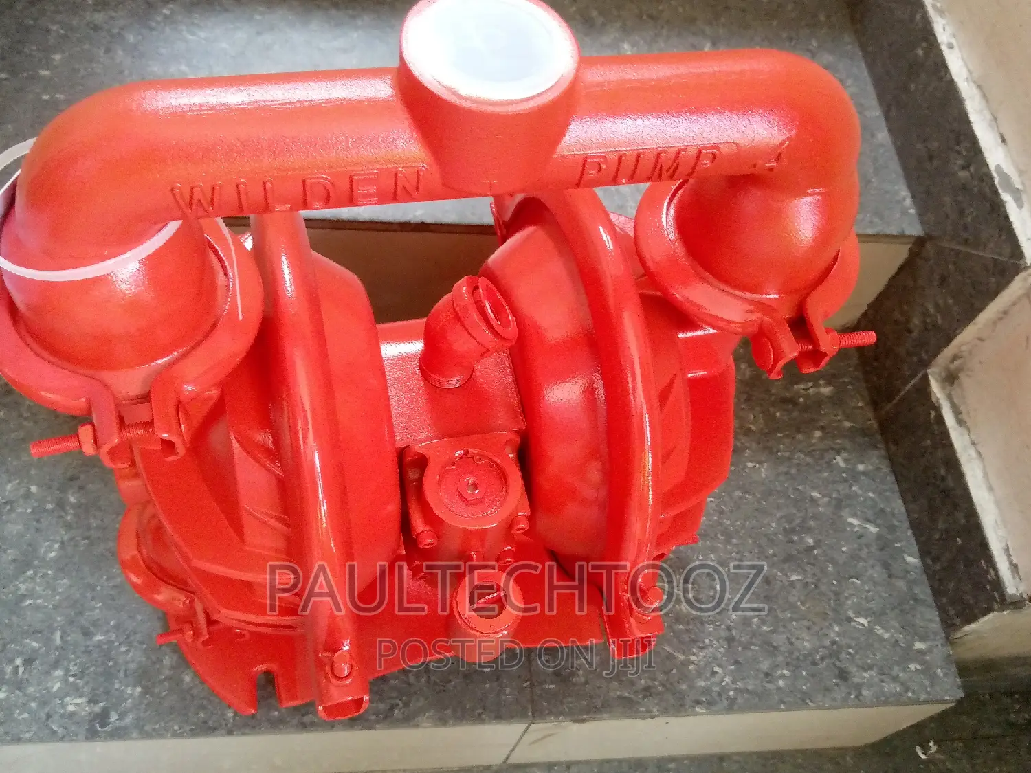 Wilden Pump