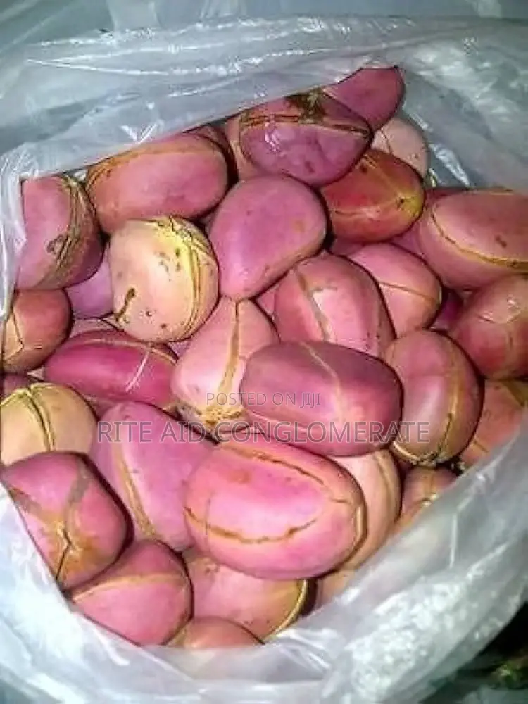 Obi Oloju Merin [ Four Loupes Colanut ]