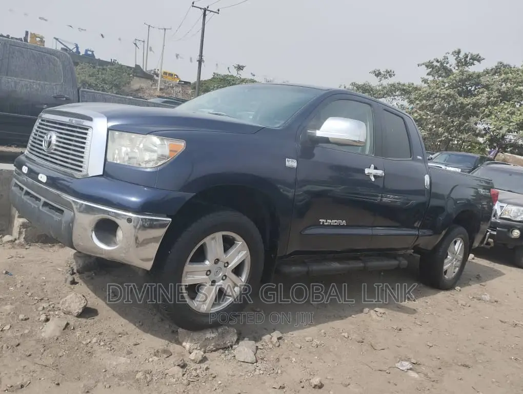 Toyota Tundra Double Cab 4x4 Limited 2010 Blue