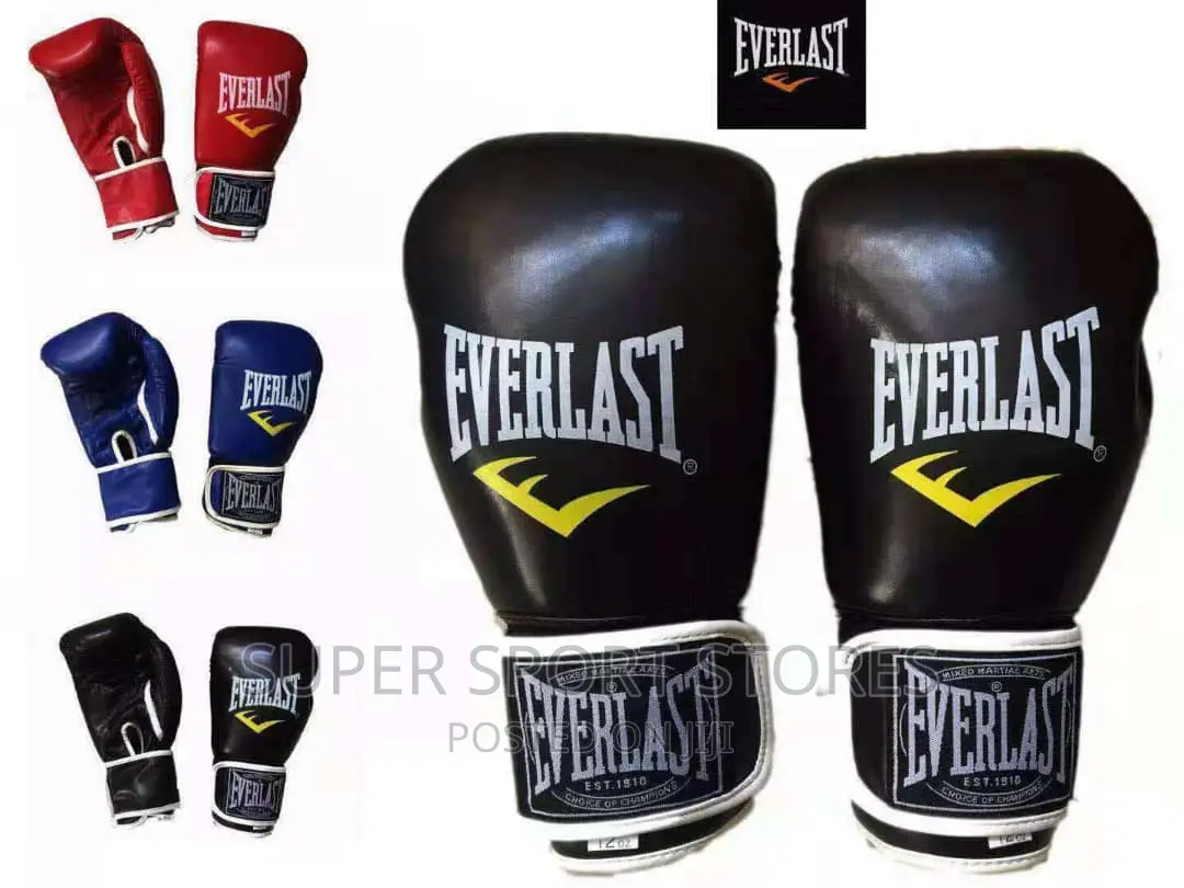 New Everlast Boxing Gloves