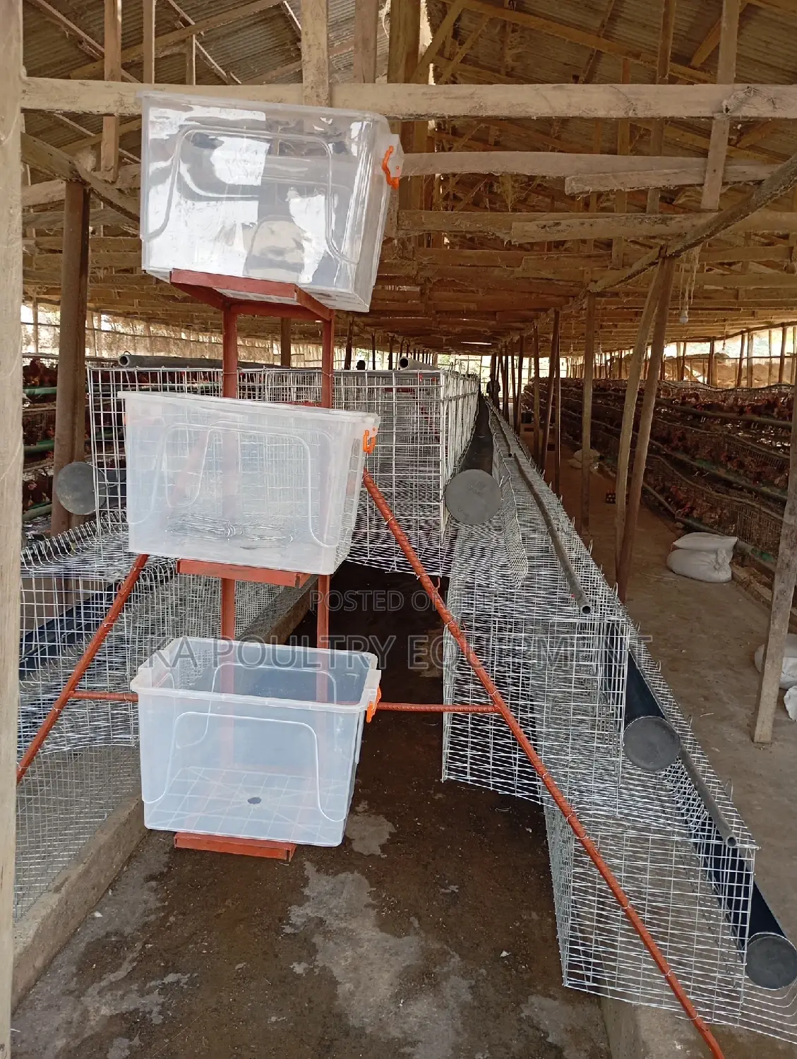 Poultry Battery Cage