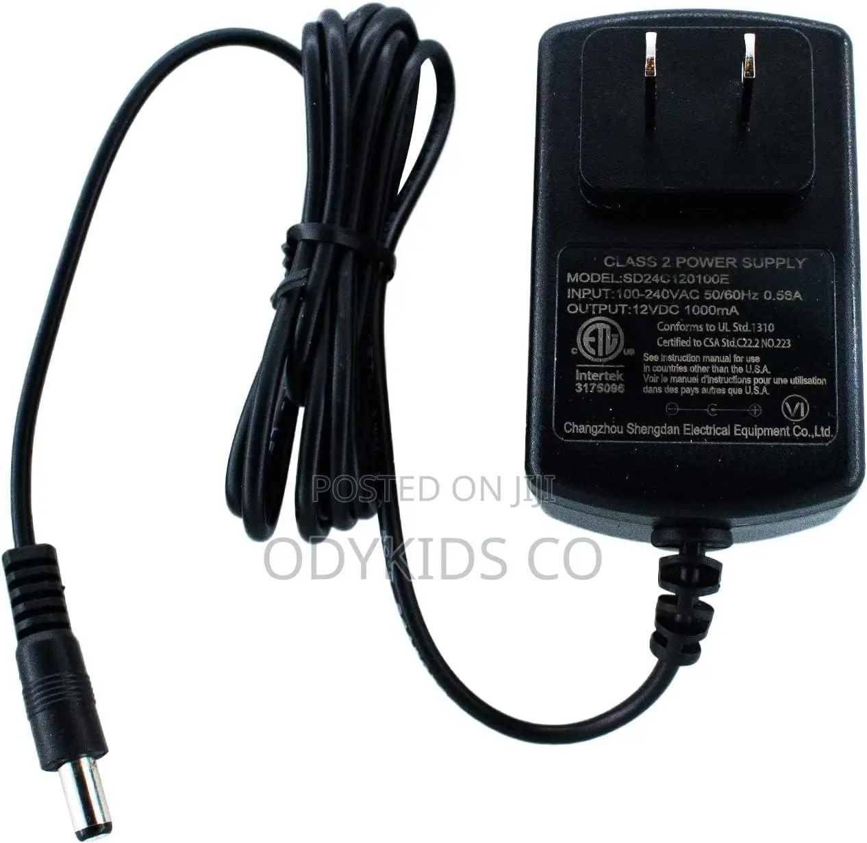 6V12V24V Kids Powered Ride on Car and Bike Battery Charger