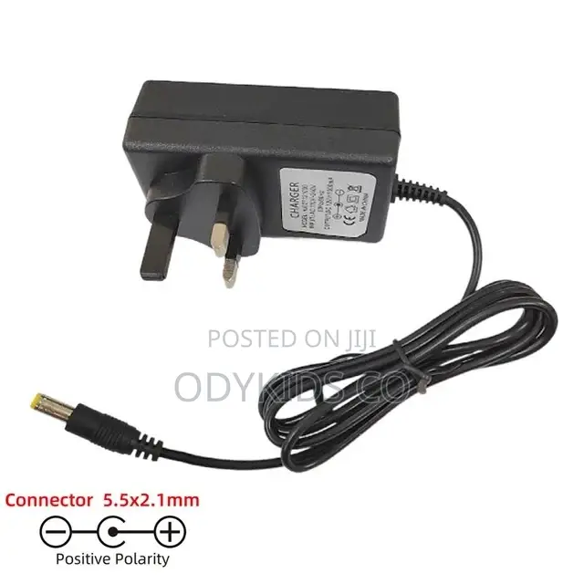 6V12V24V Kids Powered Ride on Car and Bike Battery Charger