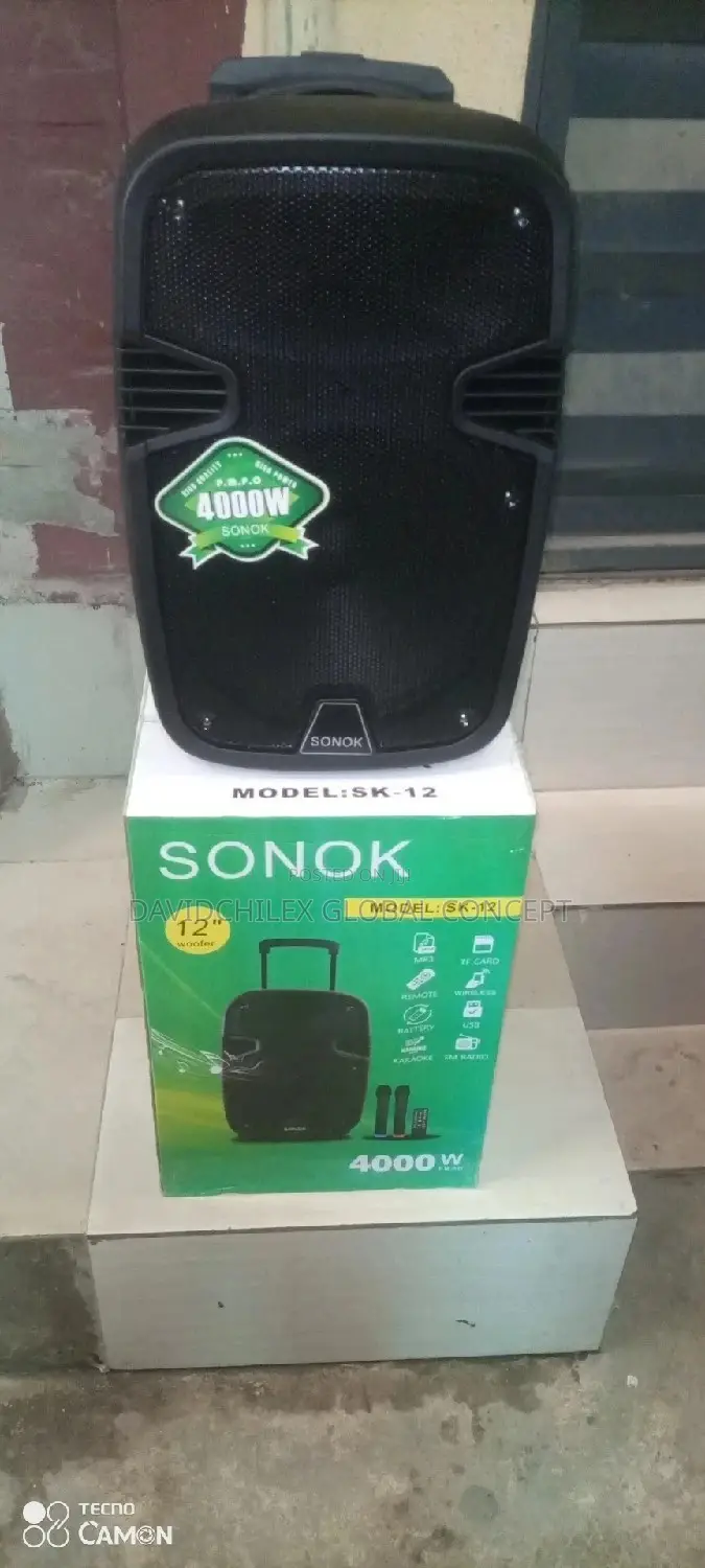 12inches Sonok Public Address System