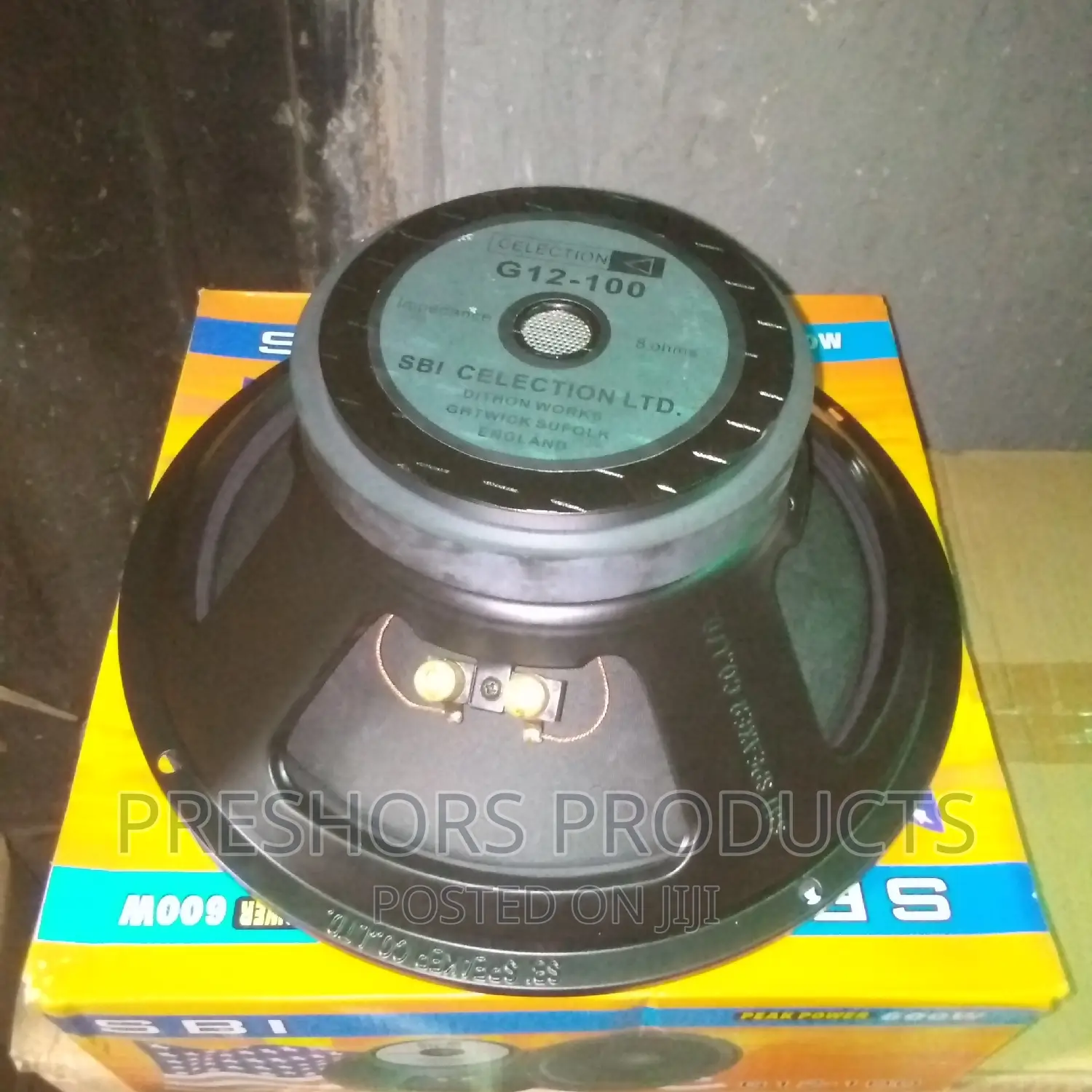 G12inches SBI Naked Speaker