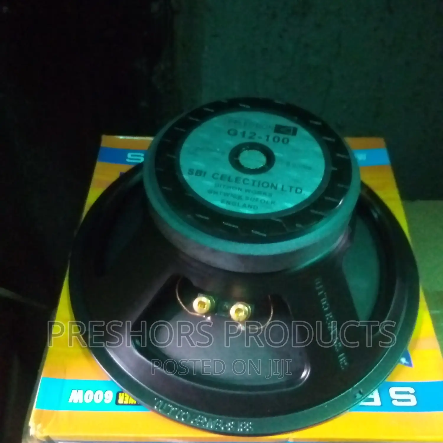 G12inches SBI Naked Speaker