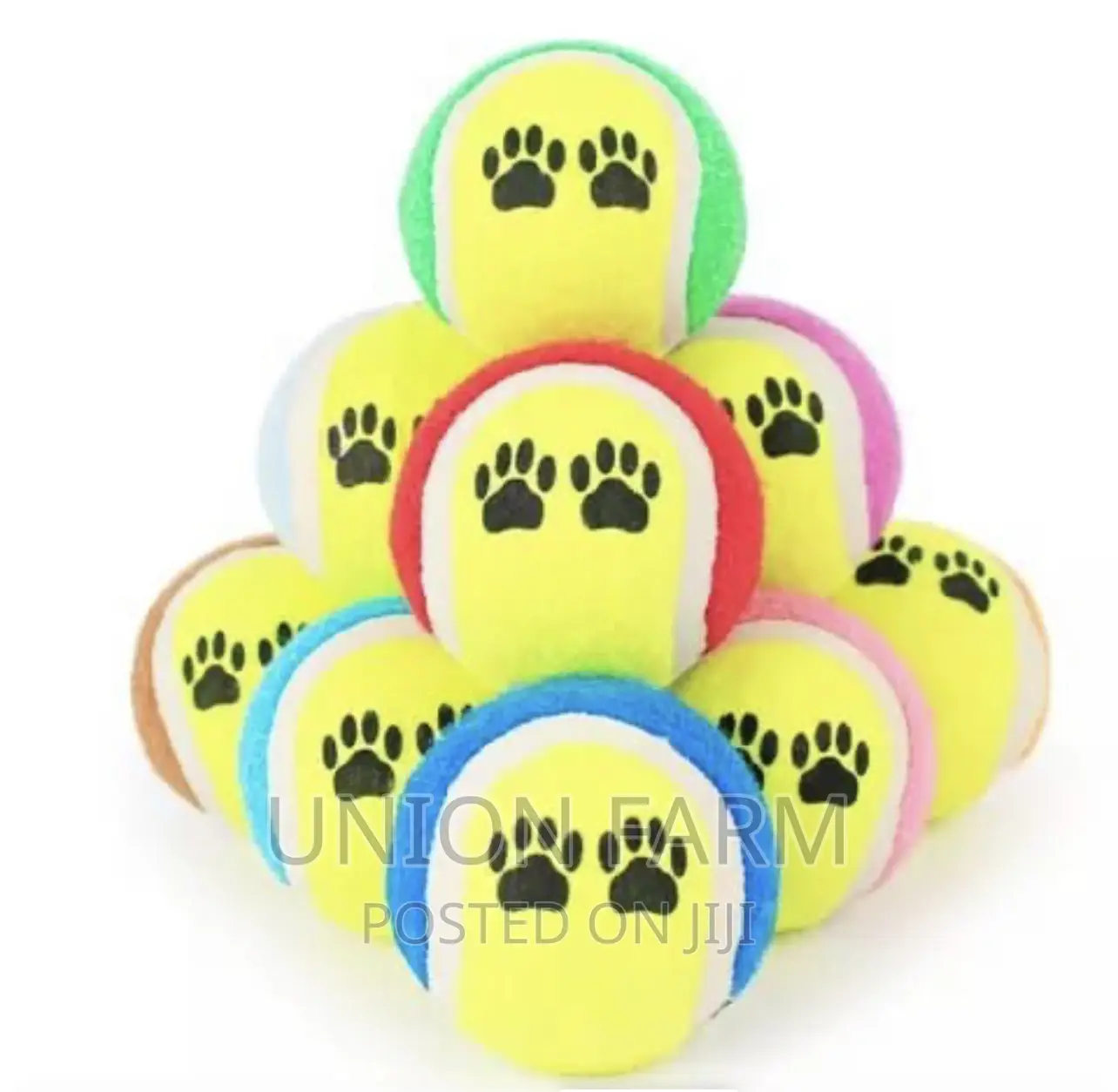 Dog and Cat Toy Ball
