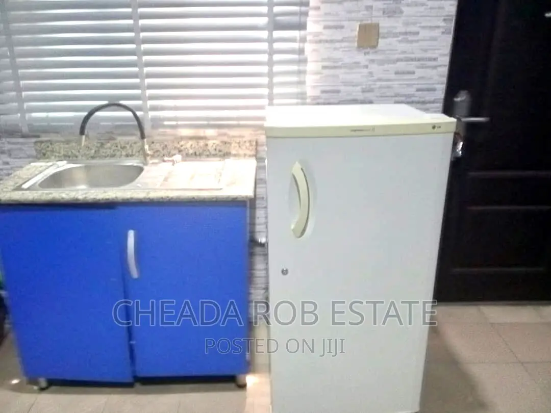 Special Luxury 2bedroom Shortlet With 24hrs Light in Stadium