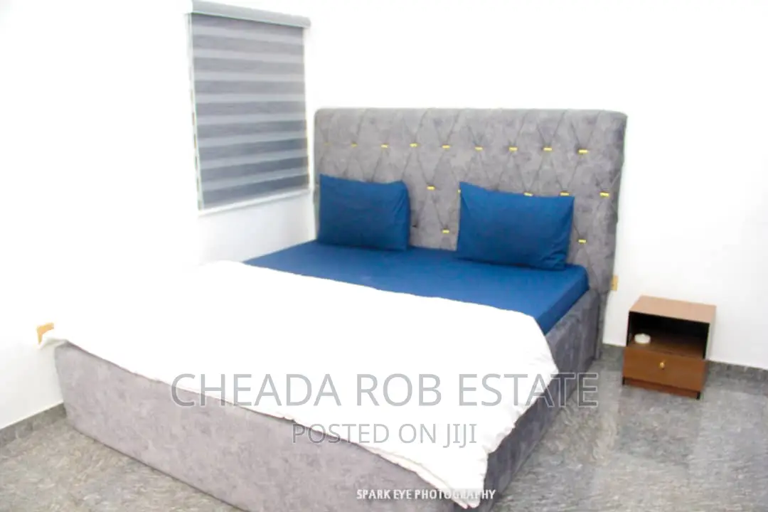 Special Luxury 2bedroom Shortlet With 24hrs Light in Stadium