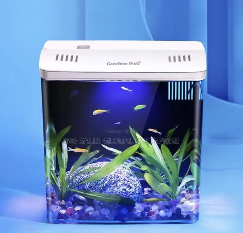 Complete Small Factory Made Aquarium With Fishes: 11X7X13 In
