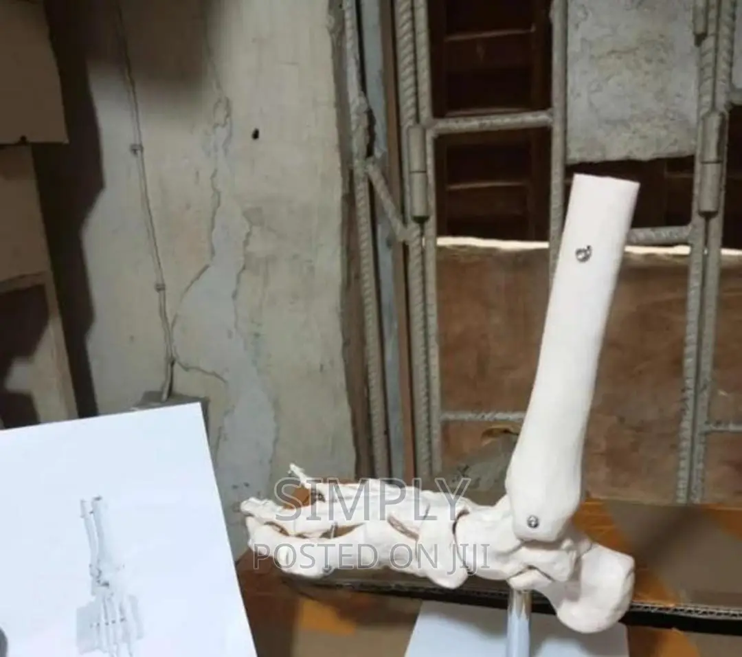 Foot Joint Skeleton