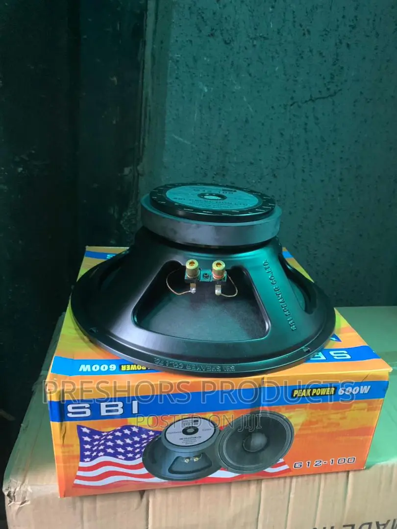 G12inches SBI Naked Speaker