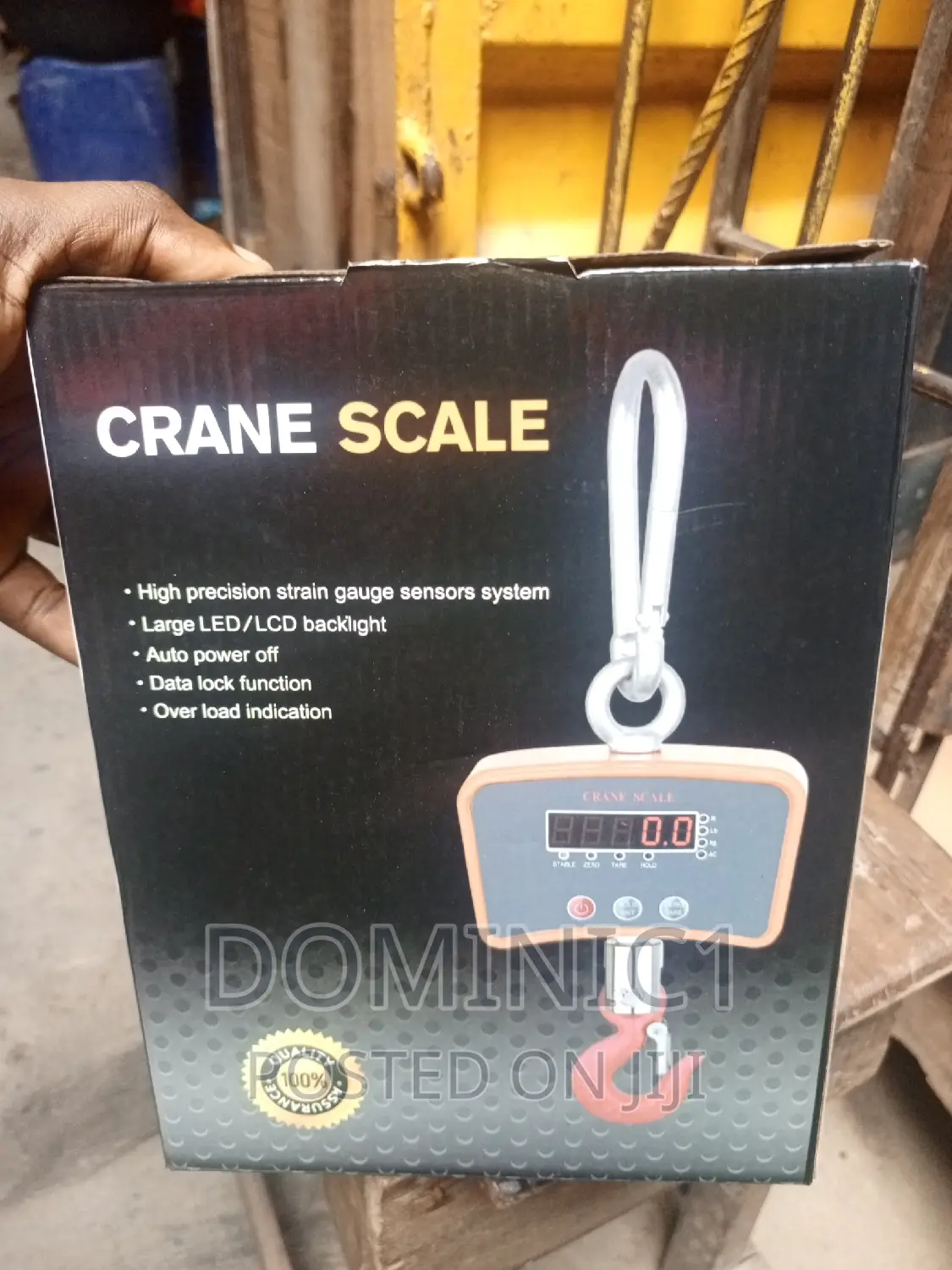 Crane Scale 500kg Hanging