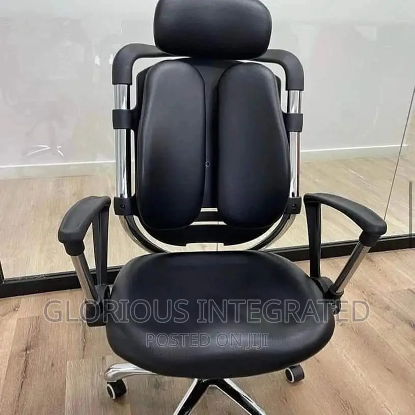 Kidney Ergonomic Office Chair