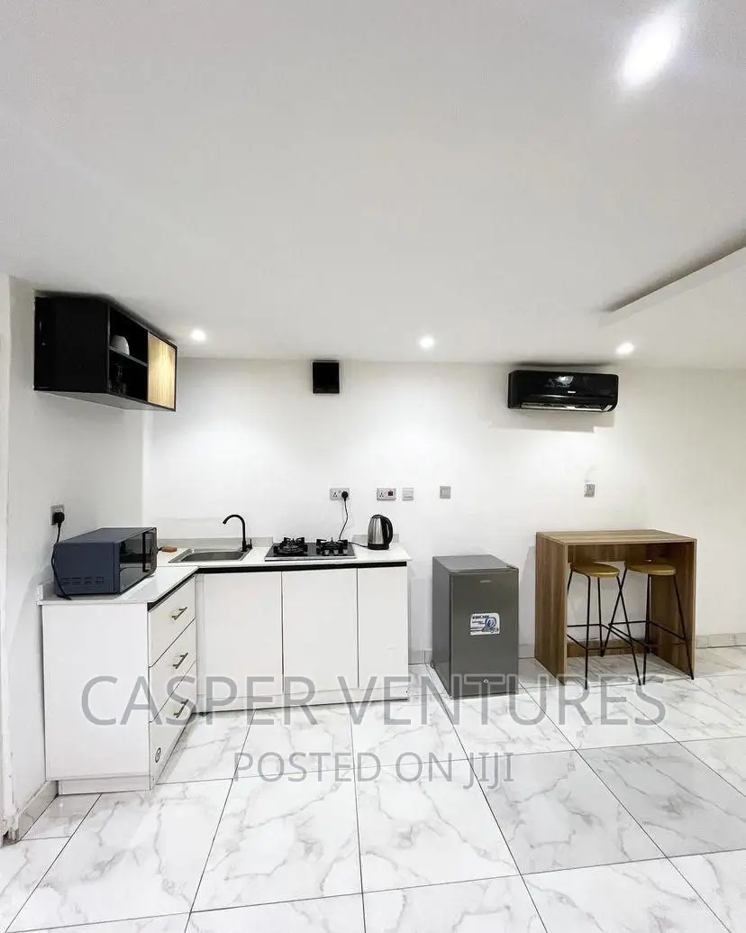 Furnished Mini Flat in Lekki Right for rent