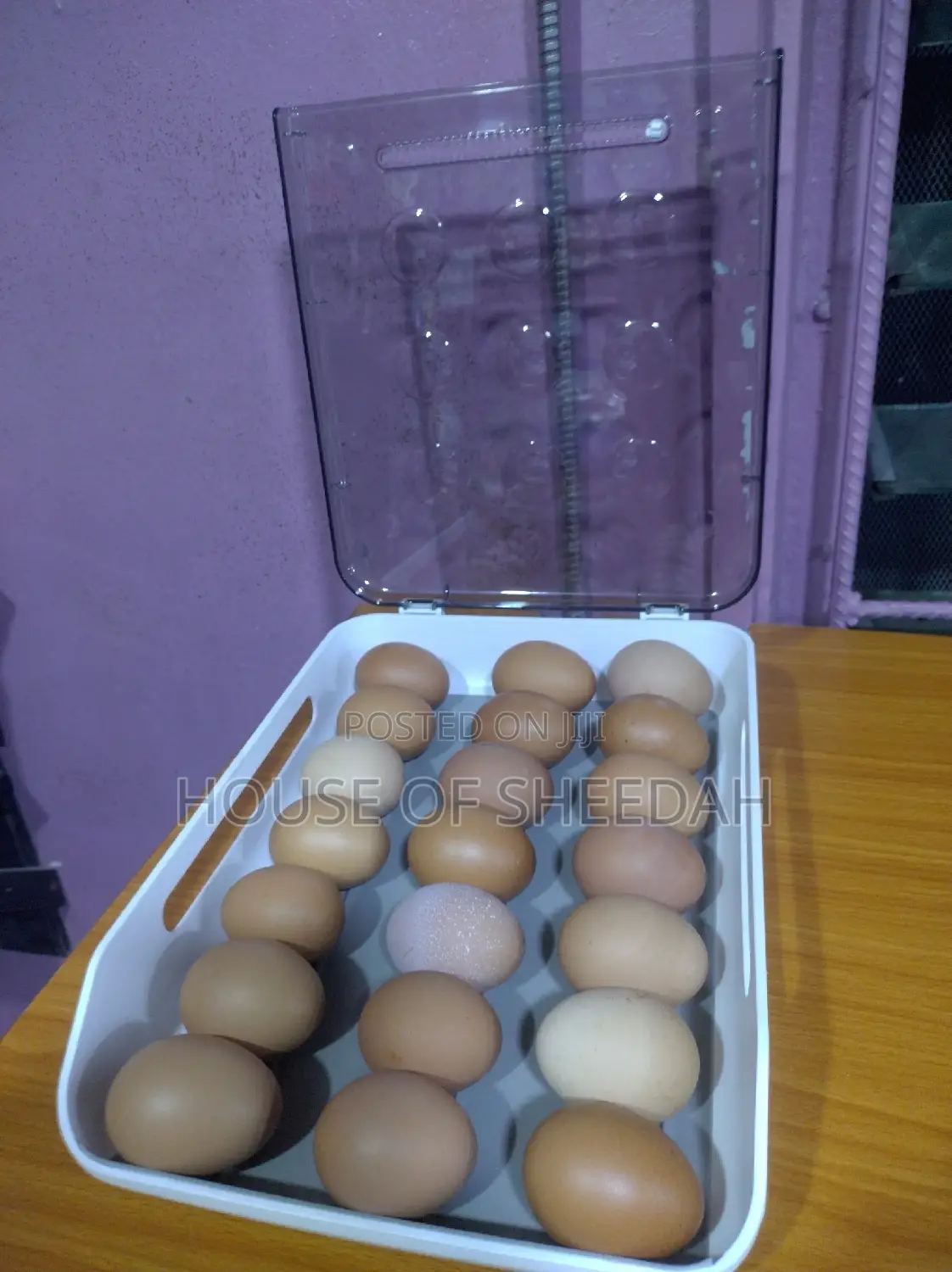 Scrolling Egg Tray Storage Holder Container With Lid
