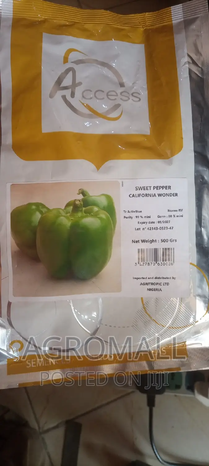 Hybrid Tomato (Platinum, Diva, Cobra, Padma)