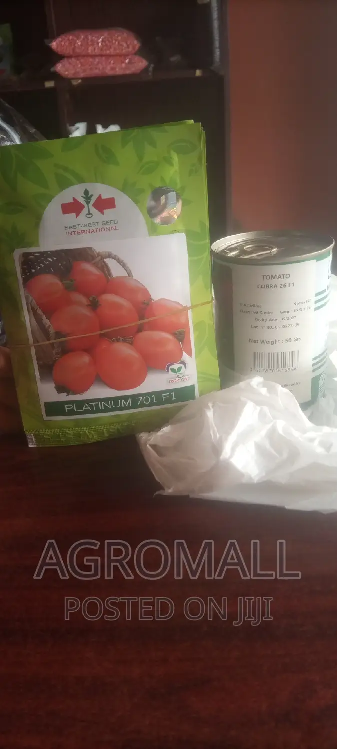 Hybrid Tomato (Platinum, Diva, Cobra, Padma)