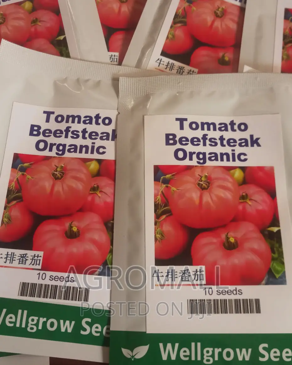 Hybrid Tomato (Platinum, Diva, Cobra, Padma)