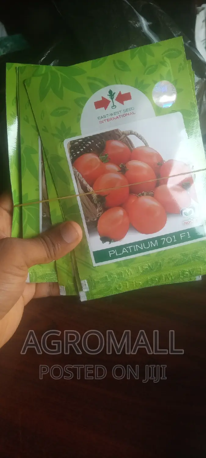 Hybrid Tomato (Platinum, Diva, Cobra, Padma)
