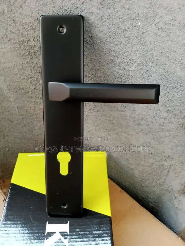 High Quality 2024 Series Black Coated Door Set MFKU-2089