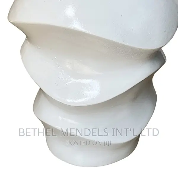 Nigeria Biggest Producer of Pure Fiberglass Vases/Pots