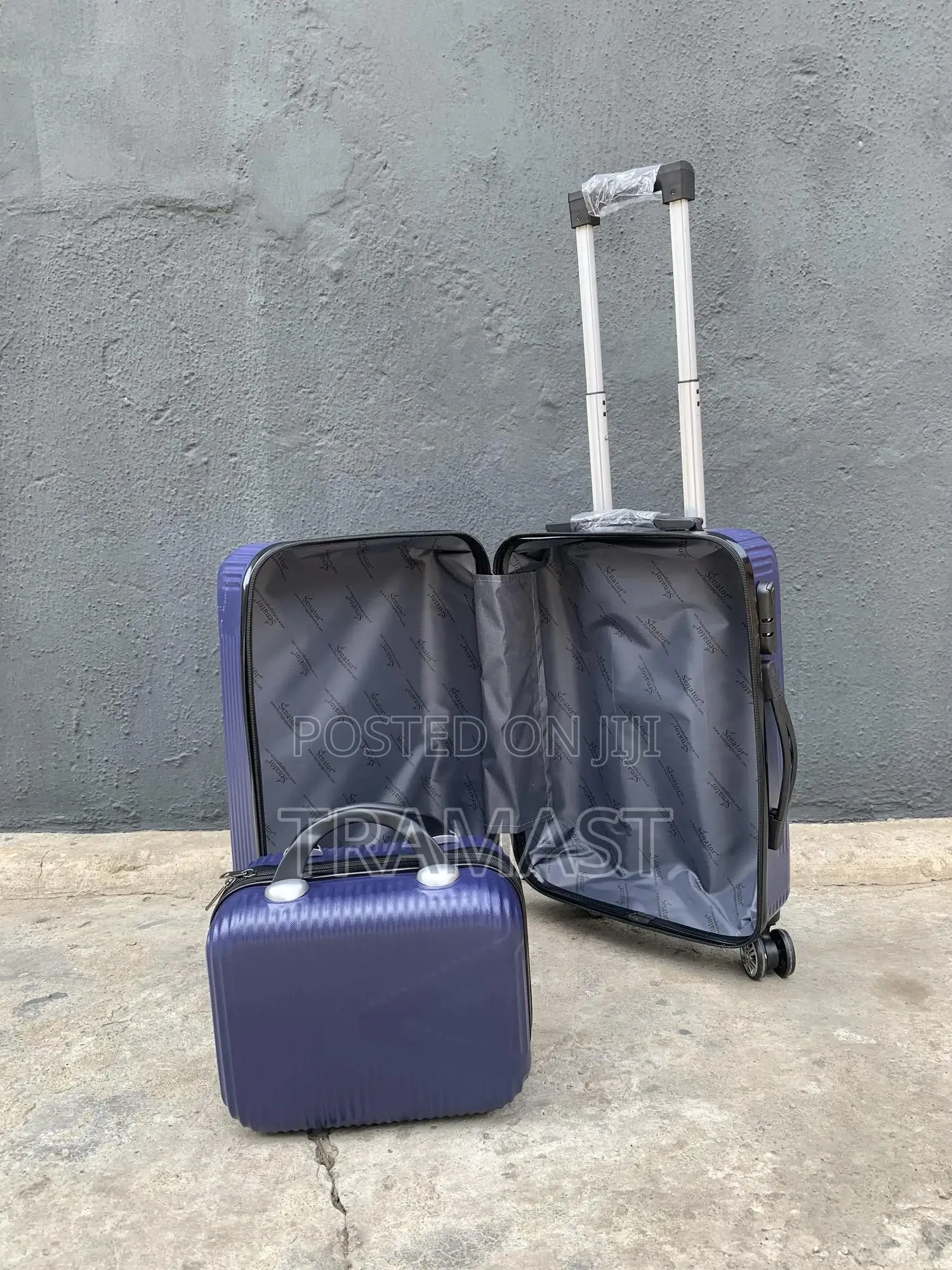 Wander Polo 20 Inch Travelling Luggage