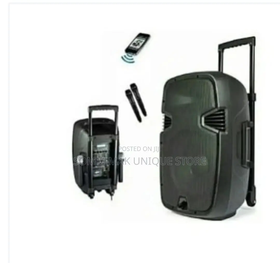 8" Rechargeable Portable Public Address System - Black