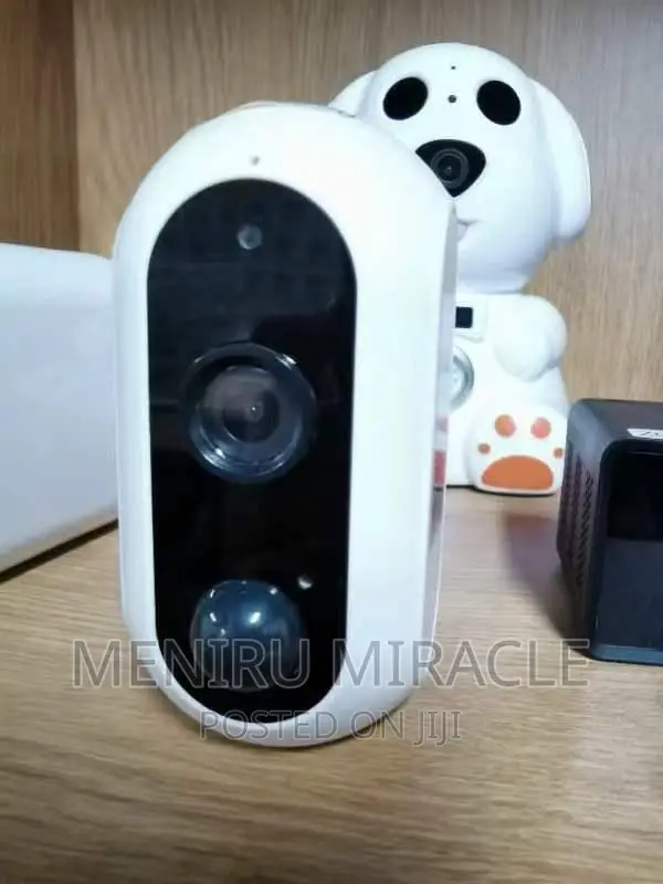 Solar 4g Indoor/Outdoor Camera